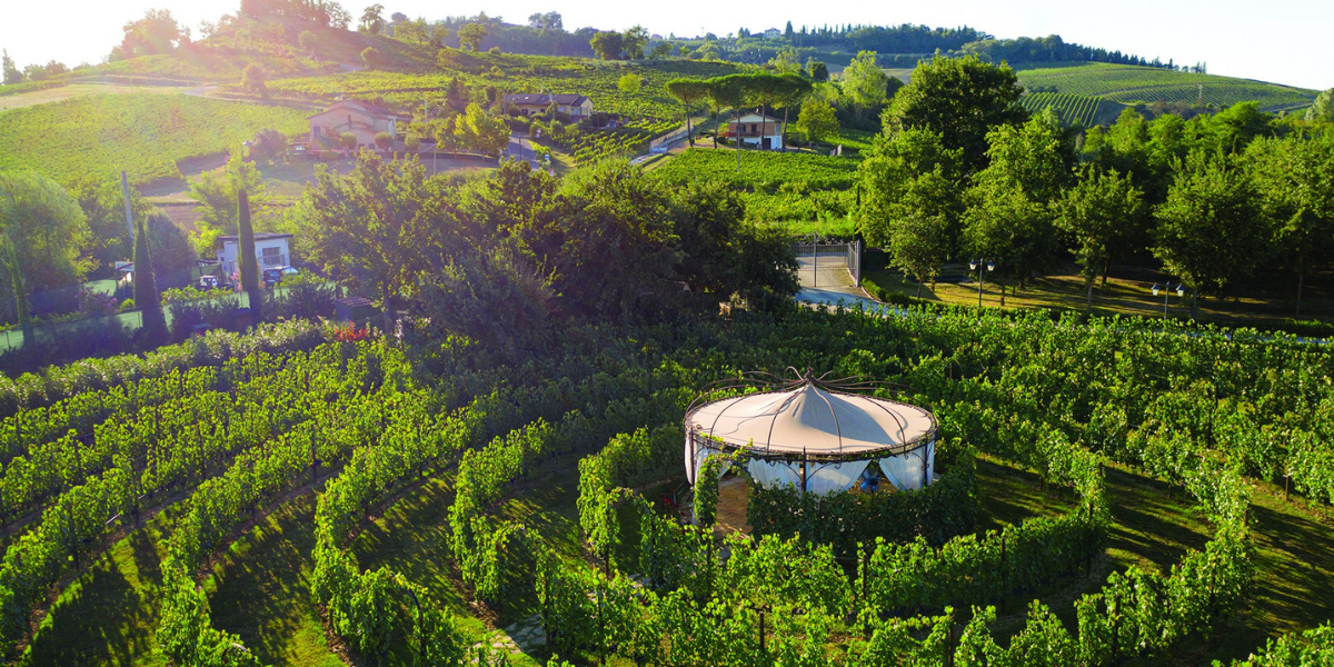 Tenuta Torciano